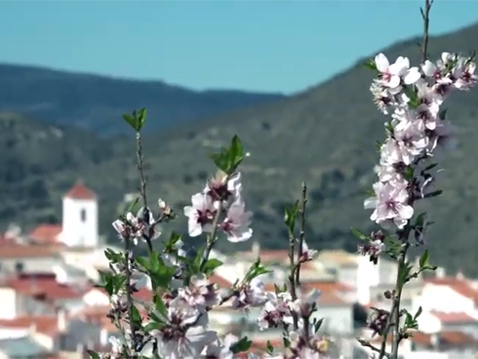 Vista del Municipio